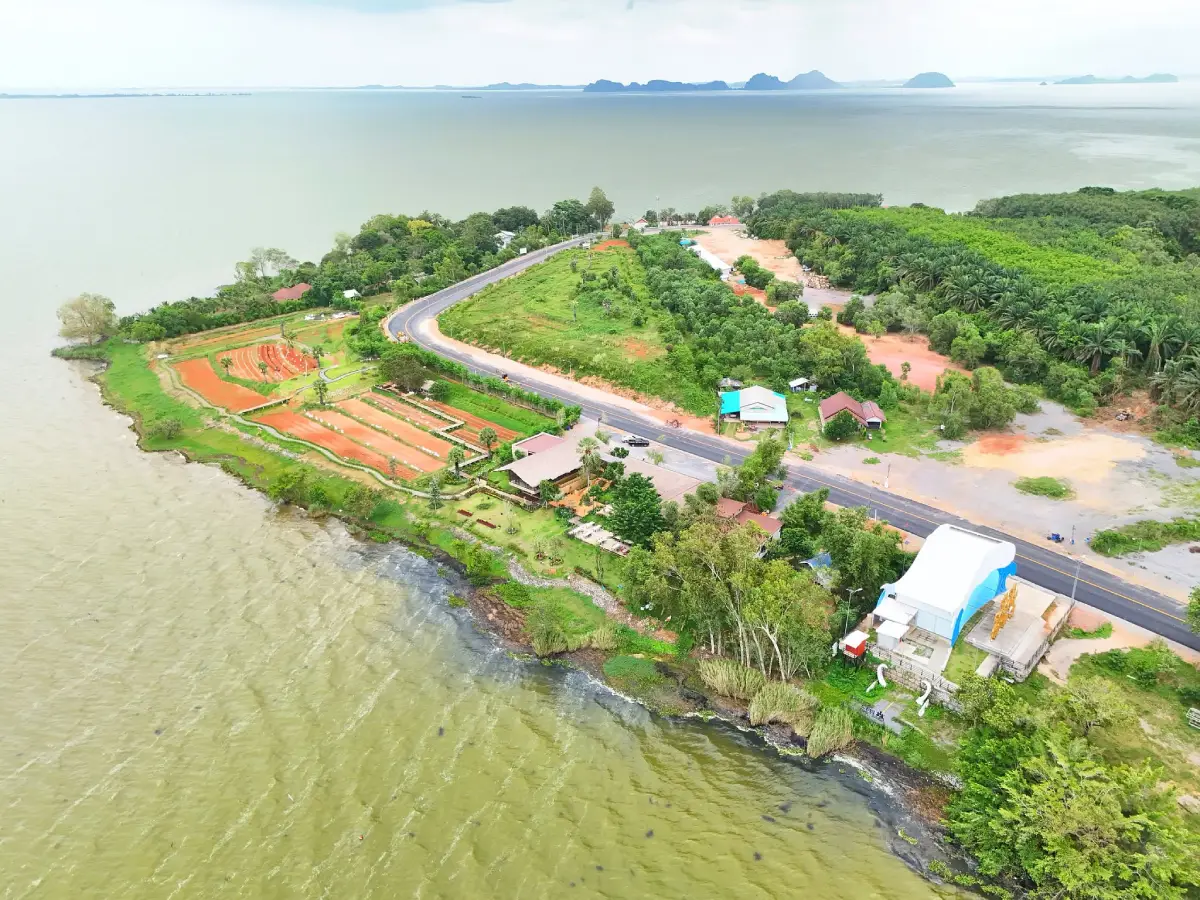 Laem Chong Thanon, Phatthalung