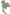 Region