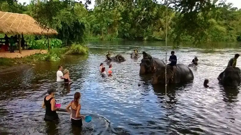 ศูนย์อนุรักษ์ช้างกาญจนบุรี ศูนย์อนุรักษ์ช้างกาญจนบุรี