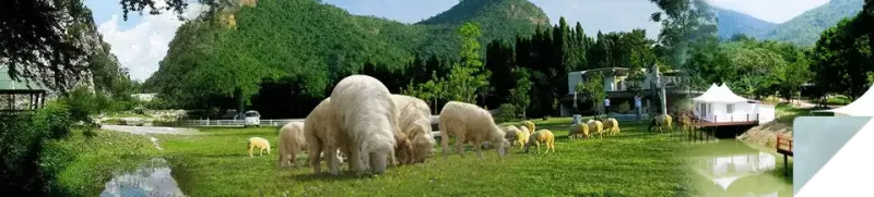 Ratchaburi Ratchaburi