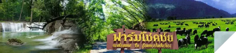 Saraburi Saraburi : Trail of buddha, Pha Sak Chollasit dam, base of industry, the best of agriculture, many attraction to travel, the best of curry puff, good milk, make a merit flower festival, glowing sunflower fields.