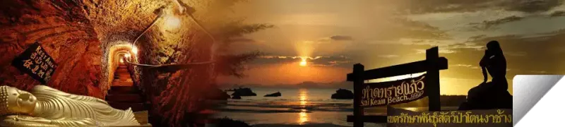 Songkhla Songkhla : Enjoy with waterfowl and Similah island, big city between two ocians, Charming in bridges.