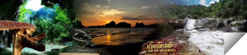 Trang Trang : Phraya Rasda’s town, generous people, delicious roast pork, The First city where Para rubber was planted , the Si Trang provincial flower, underwater coral reefs, scenic beaches and waterfalls.