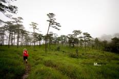 Phu Soi Dao National Park