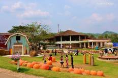Scenery Resort