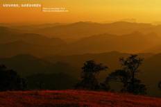 ม่อนคลุย