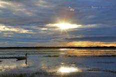 อ่างเก็บน้ำห้วยเสนง