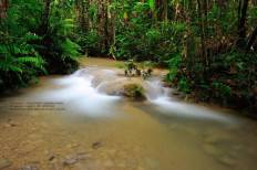 Pu Kaeng Waterfall
