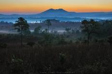 อุทยานแห่งชาติทุ่งแสลงหลวง (หนองแม่นา)