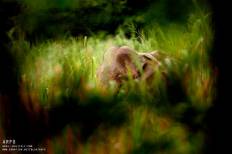 อุทยานแห่งชาติกุยบุรี