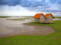 เขตห้ามล่าสัตว์ป่าทะเลน้อย