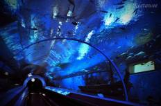 บึงฉวาก