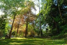 Tai Rom Yen National Park