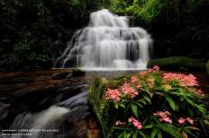 Man Daeng Waterfall