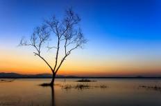 อ่างเก็บน้ำบางพระ