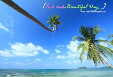 เกาะหมาก