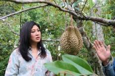 สวนละอองฟ้า