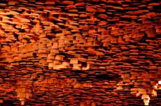 วู้ดแลนด์เมืองไม้