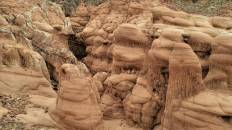 ป่าโสกผีดิบ