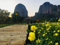 Wood House Khao Chakan