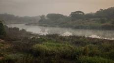 Doi Chong National Park