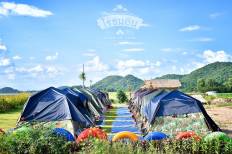 ไร่ชมอิน