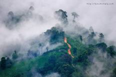 ดอยม่อนเงาะ