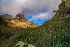 สถานีวิจัยเกษตรที่สูงป่าเกี๊ยะดอยหลวงเชียงดาว