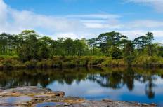 Phu Kradueng National Park