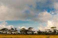 Phu Kradueng National Park