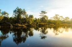 Phu Kradueng National Park
