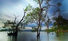 ช่องเขาขาด และหาดหินกลม