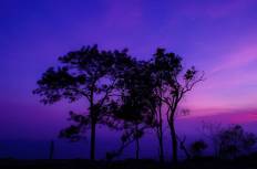 Phu Kradueng National Park