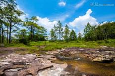 Phu Kradueng National Park