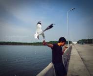 สถานตากอากาศบางปู