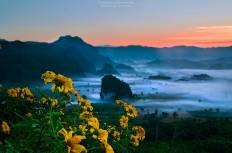 Phu Langka Forest Park