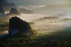 Phu Langka Forest Park