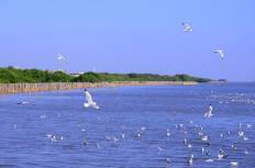 สถานตากอากาศบางปู