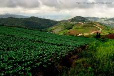 ภูทับเบิก