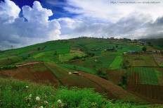 ภูทับเบิก
