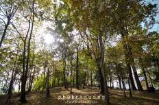 Phu Kradueng National Park