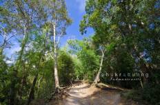 Phu Kradueng National Park