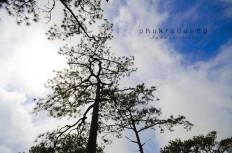 Phu Kradueng National Park