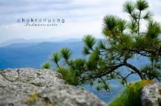 Phu Kradueng National Park