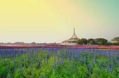 สวนหลวง ร.9