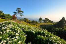 Huai Nam Dang National Park