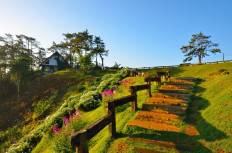 Huai Nam Dang National Park