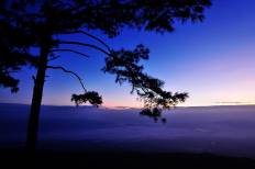 Phu Kradueng National Park