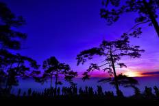 Phu Kradueng National Park