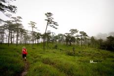 Phu Soi Dao National Park